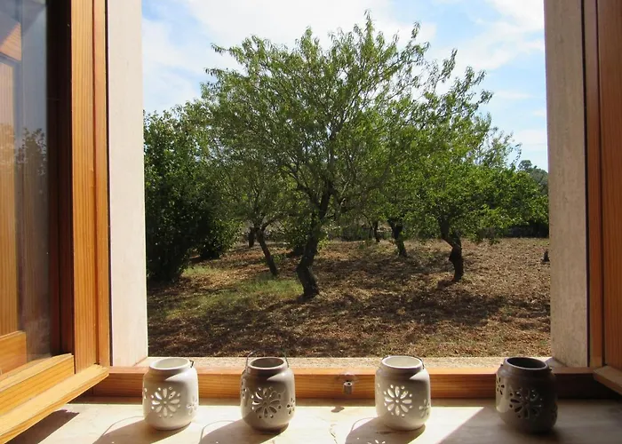 Il Giovane Alloro * Martina Franca